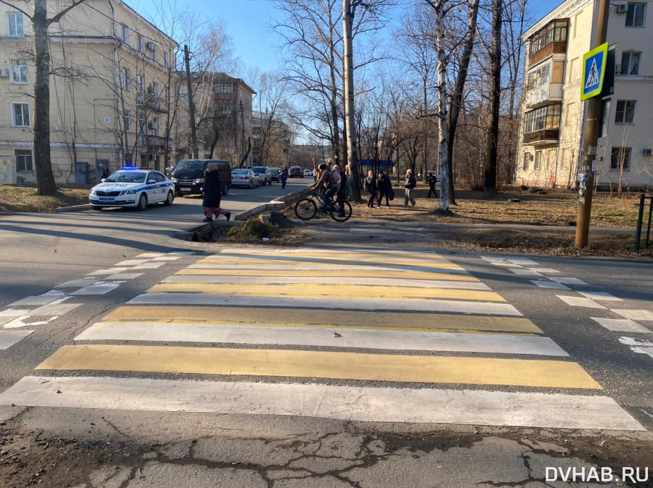 Дама с собачкой сбила школьника на 