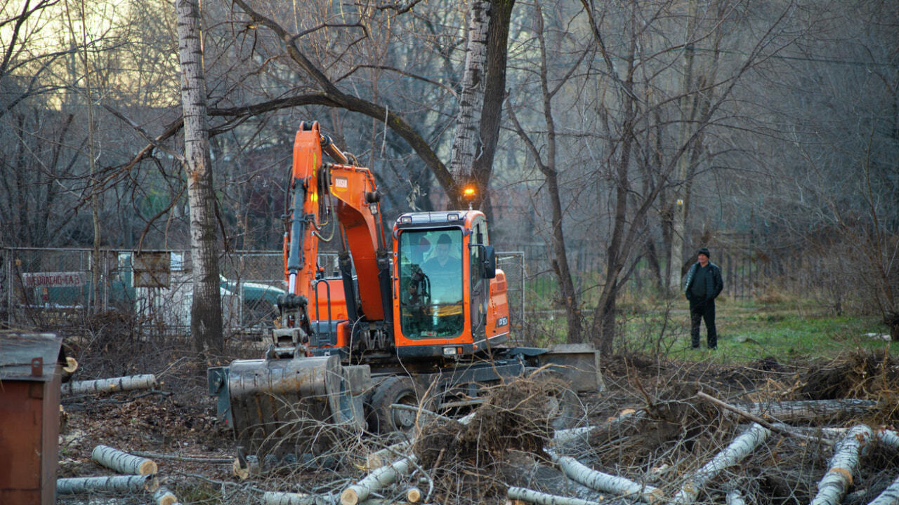 Без паники - деревья на Шелеста вырубили ради детского центра (ФОТО; ВИДЕО)  — Новости Хабаровска