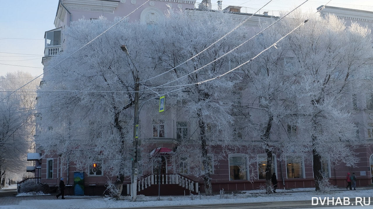 Снежную сказку подарила погода комсомольчанам (ФОТО; ВИДЕО) — Новости  Хабаровска