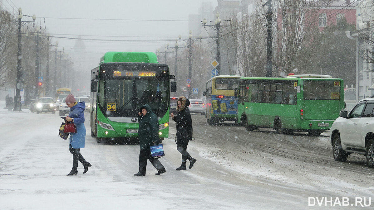 Закрытый автобусный маршрут реанимируют со второй попытки в Хабаровске —  Новости Хабаровска