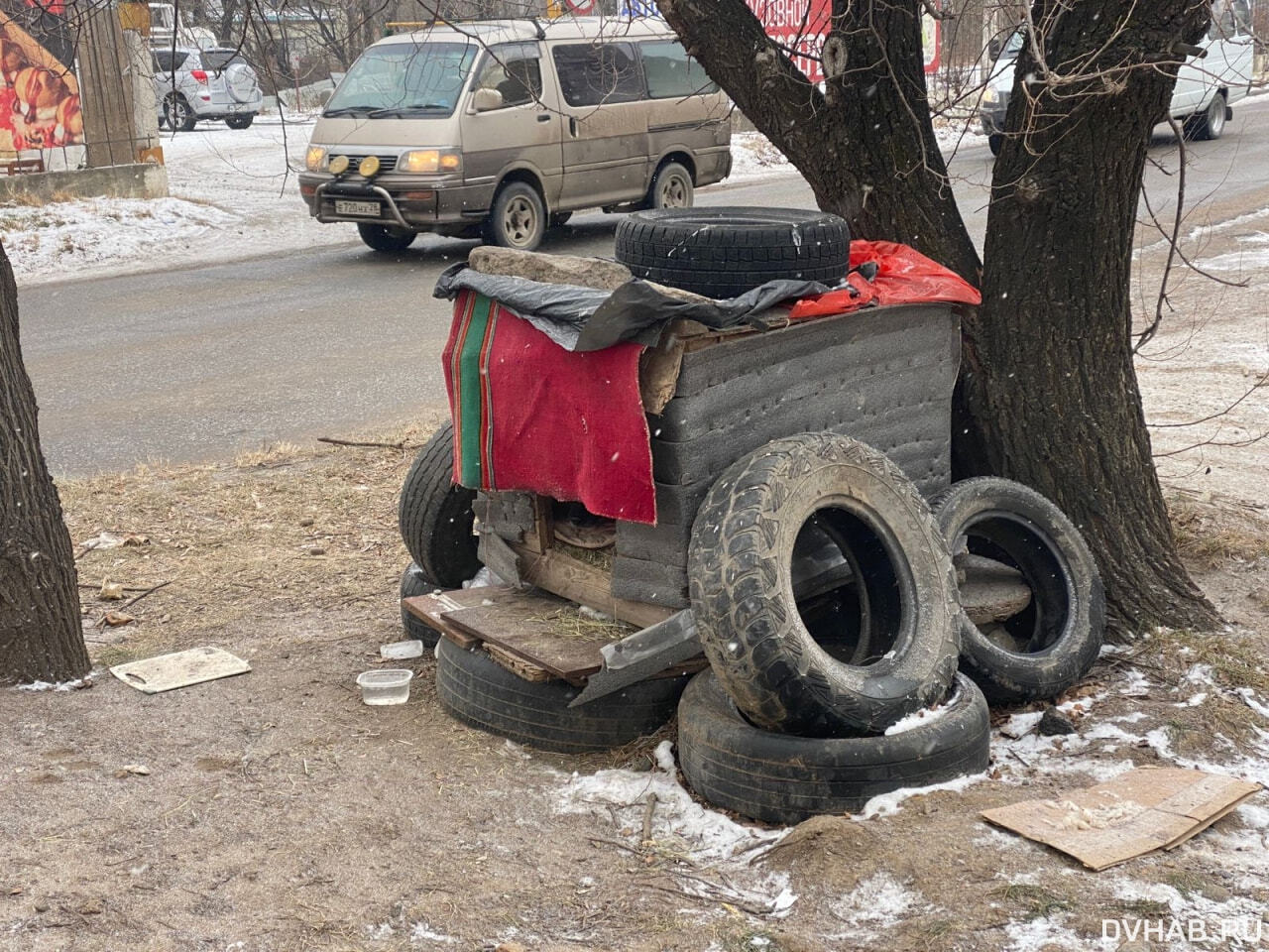 Будки для бездомных собак строят хабаровчане (ФОТО) — Новости Хабаровска