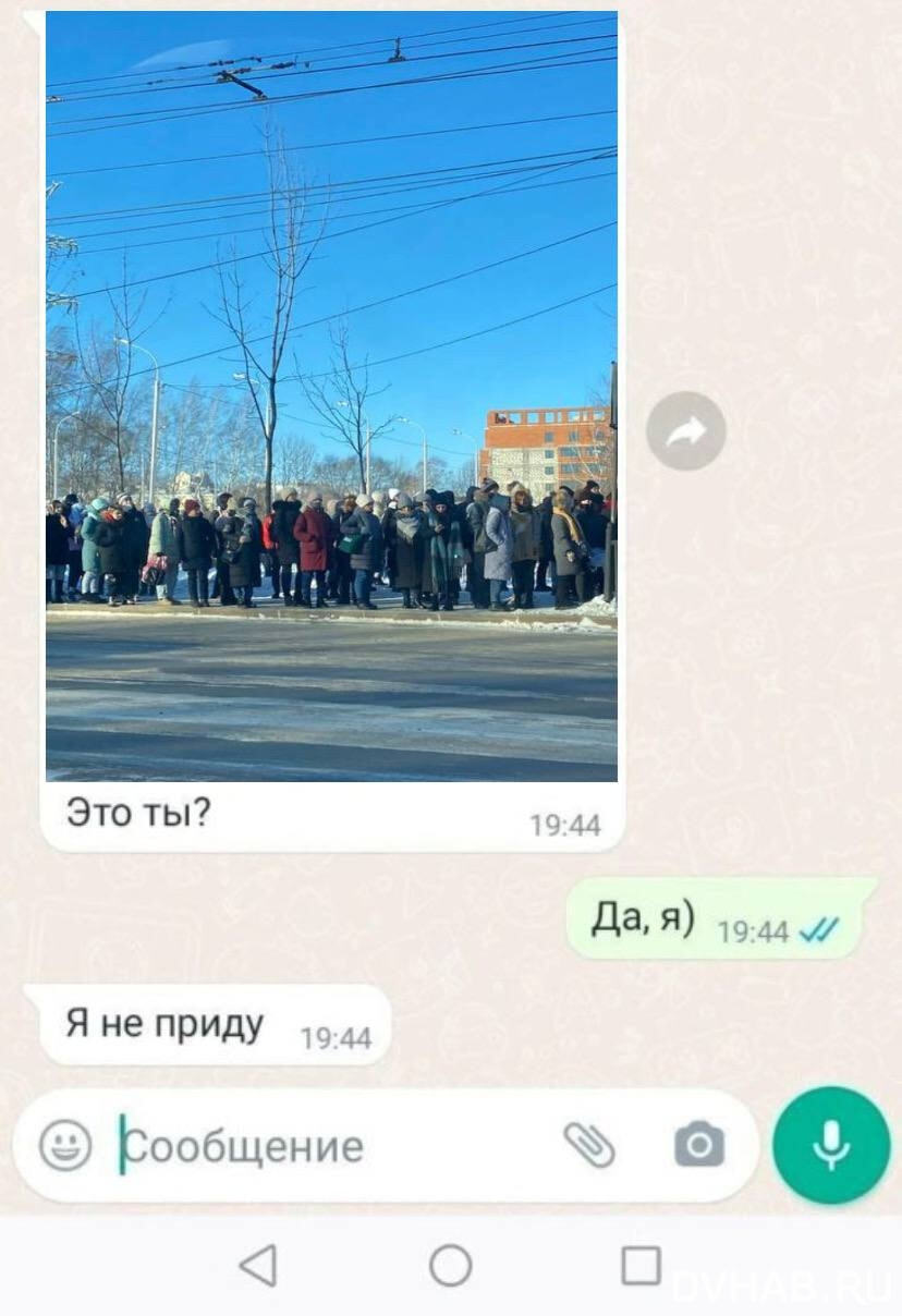 Отмороженный юмор: толпы на остановках стали поводом для фотожаб (ФОТО) —  Новости Хабаровска