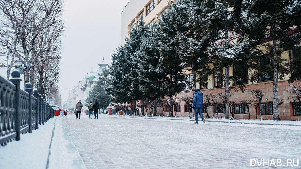 Прогноз погоды в Хабаровском крае на четверг, 15 декабря — Новости  Хабаровска