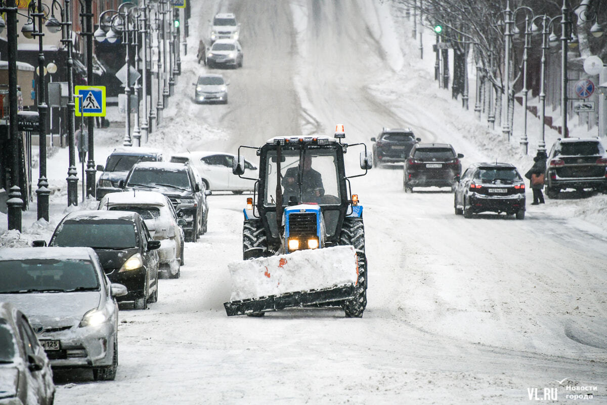 Красота рук. Одиночество души. Сильный ветер деревья. Дерево под ветром. Лопата для снега в машину.