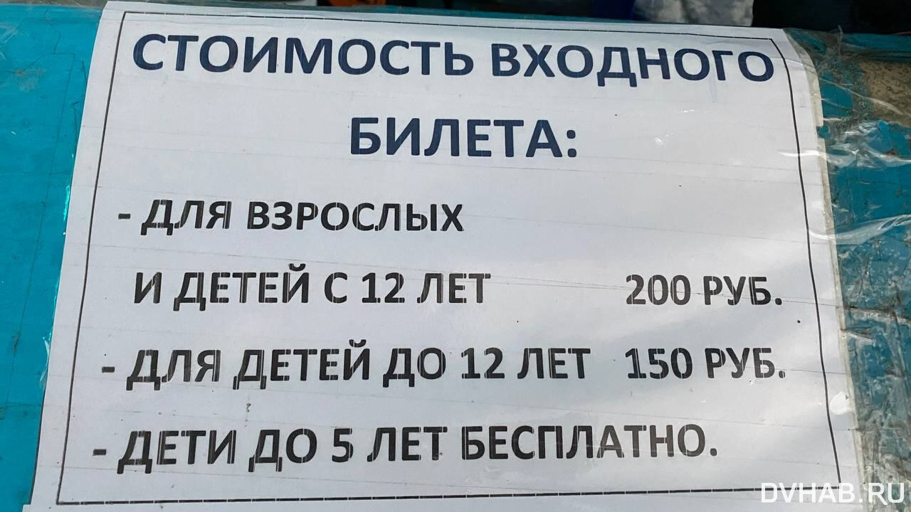 Все на каток: где в Хабаровске можно покататься на коньках (ОБЗОР) —  Новости Хабаровска