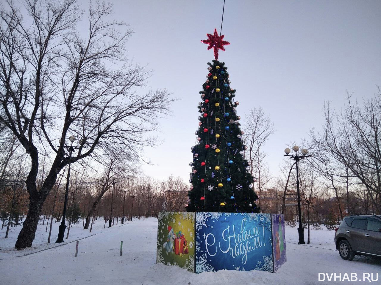 Зимний городок из одной елки украсил микрорайон Хабаровска (ФОТО) — Новости  Хабаровска