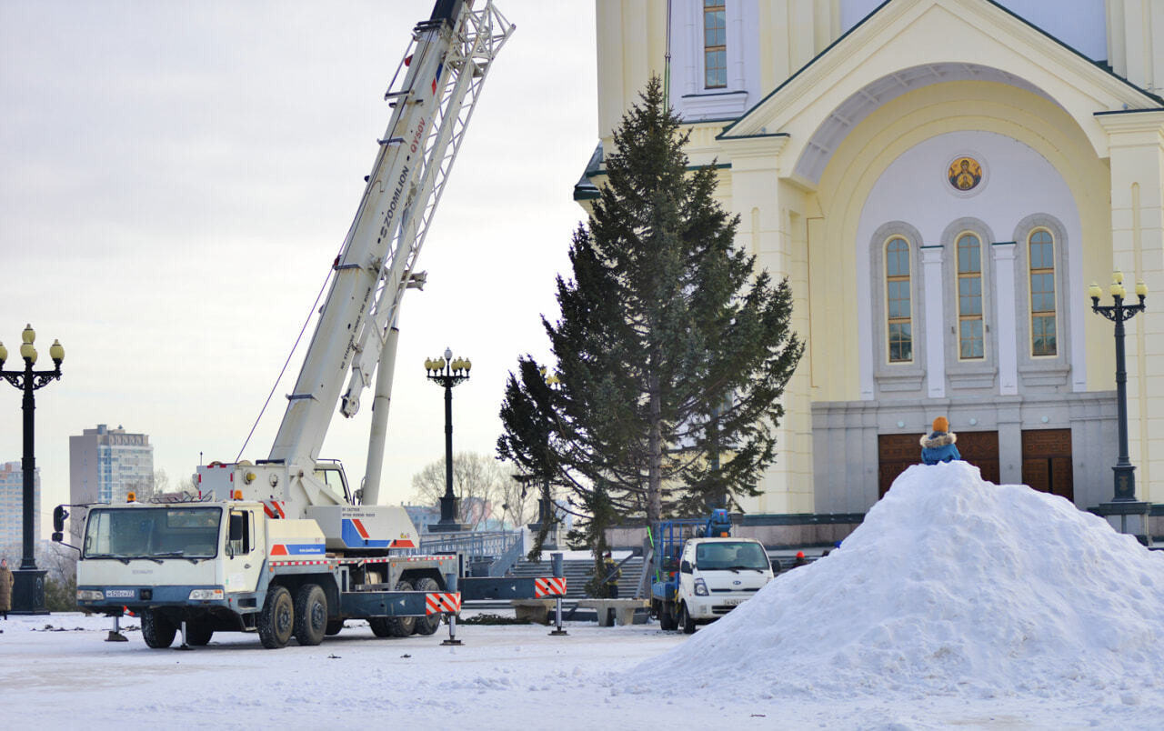 В Симферополе возле городской ёлки поставили рождественский вертеп | sensedance.ru