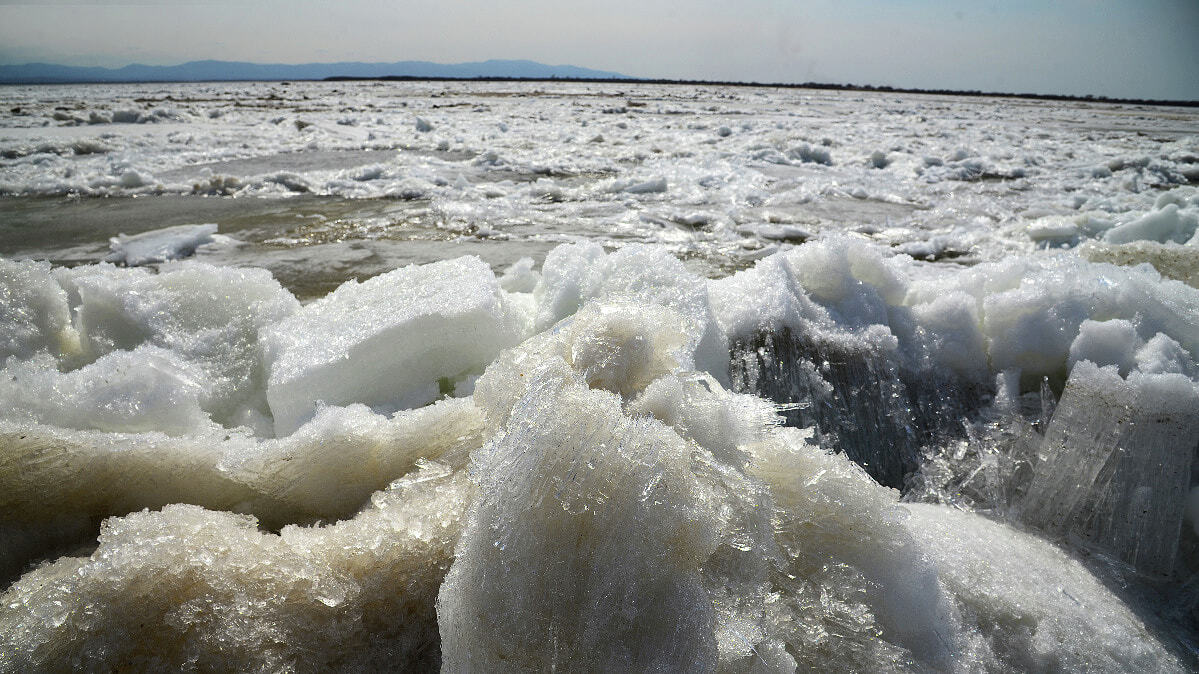 Почему датские банки спермы так популярны в Европе