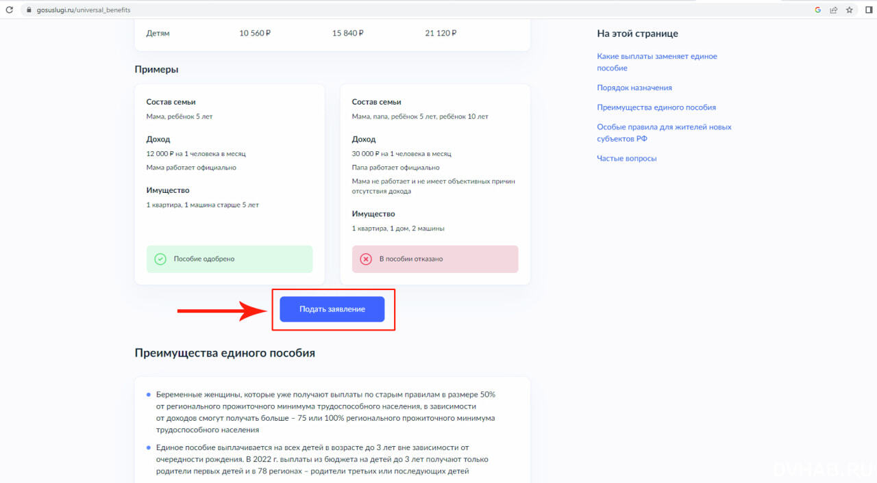 Как получить новое пособие для детей и его основные условия (ПАМЯТКА) —  Новости Хабаровска