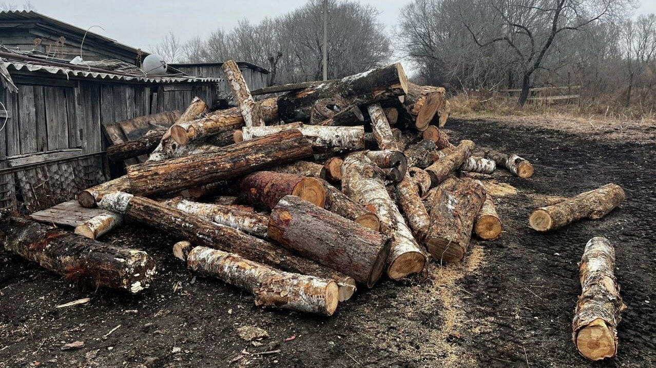 Субсидии на покупку дров появятся в городах Хабаровского края — Новости  Хабаровска