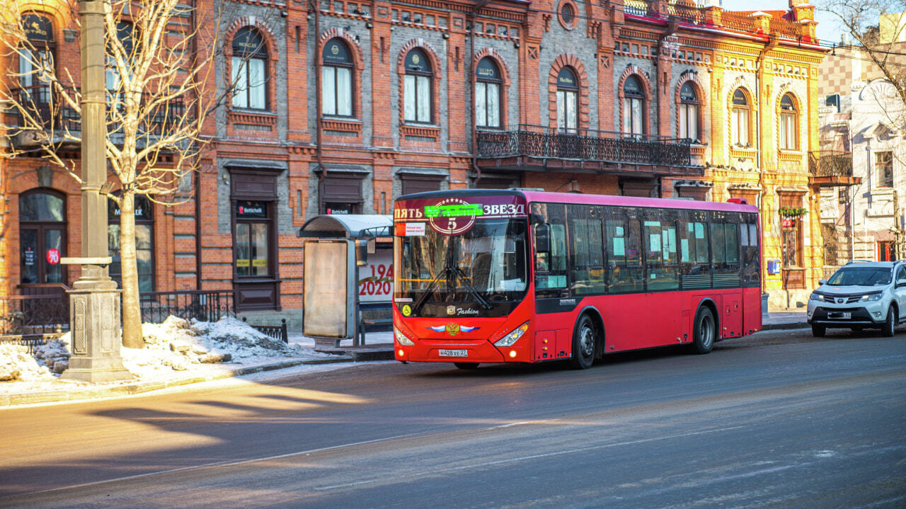 Кондуктор-паук ползал под потолком в хабаровском автобусе (ВИДЕО;  ОБНОВЛЕНИЕ) — Новости Хабаровска