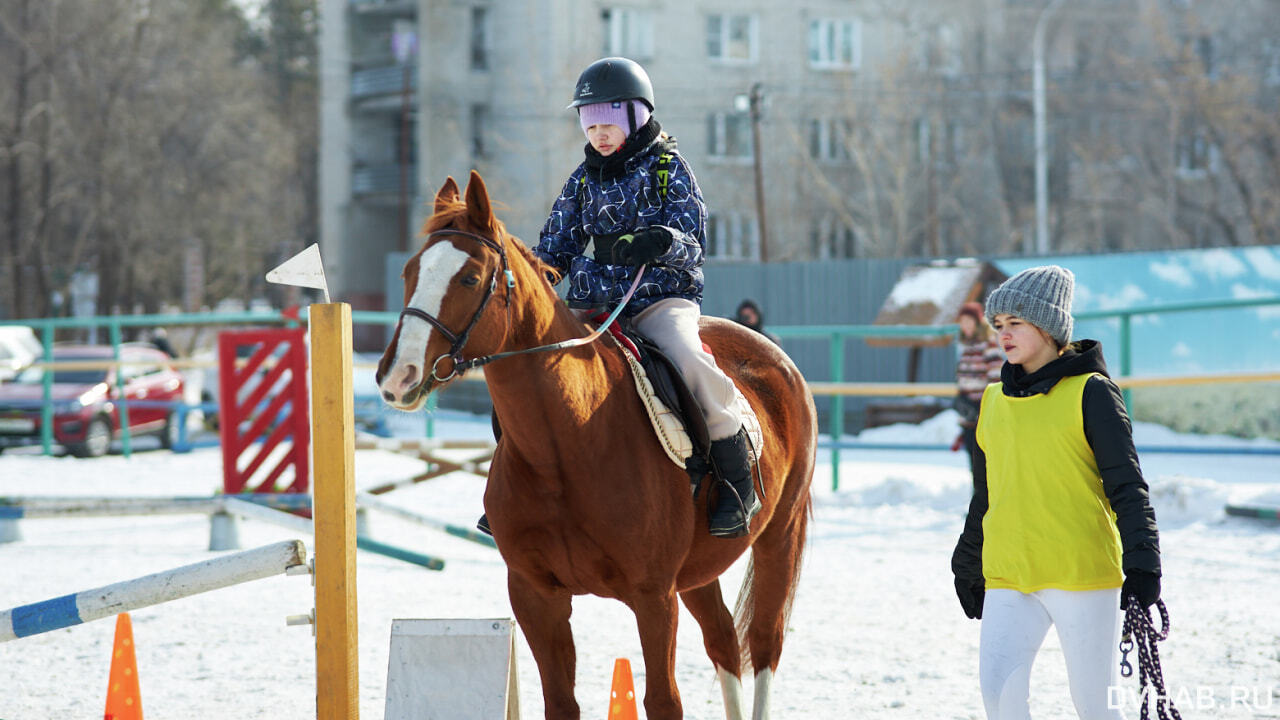 Всадники из школы паралимпийского резерва показали умения езды в Хабаровске  (ФОТО; ВИДЕО) — Новости Хабаровска