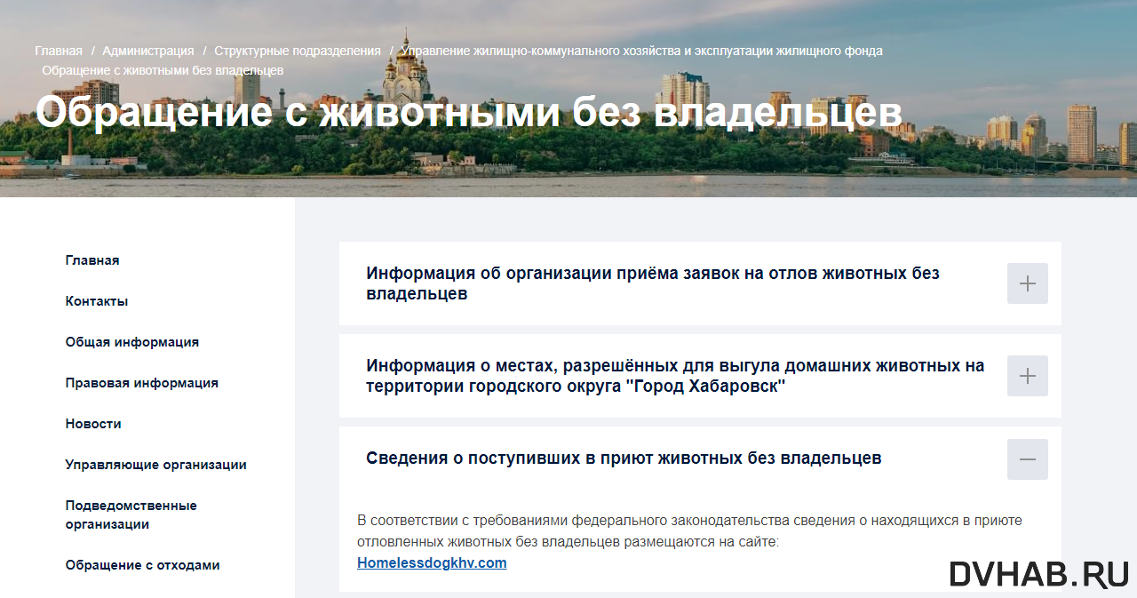 Найти отловленных собак в ветклинике не могут хабаровчане (ФОТО) — Новости  Хабаровска