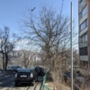 На 12:40 в пятницу, 24 февраля, указанный участок оставался без запрещающего знака — newsvl.ru