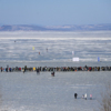 Участники выстроились на льду в ожидании старта — newsvl.ru