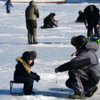 Кое-кто пришёл на рыбалку вместе с детьми — newsvl.ru