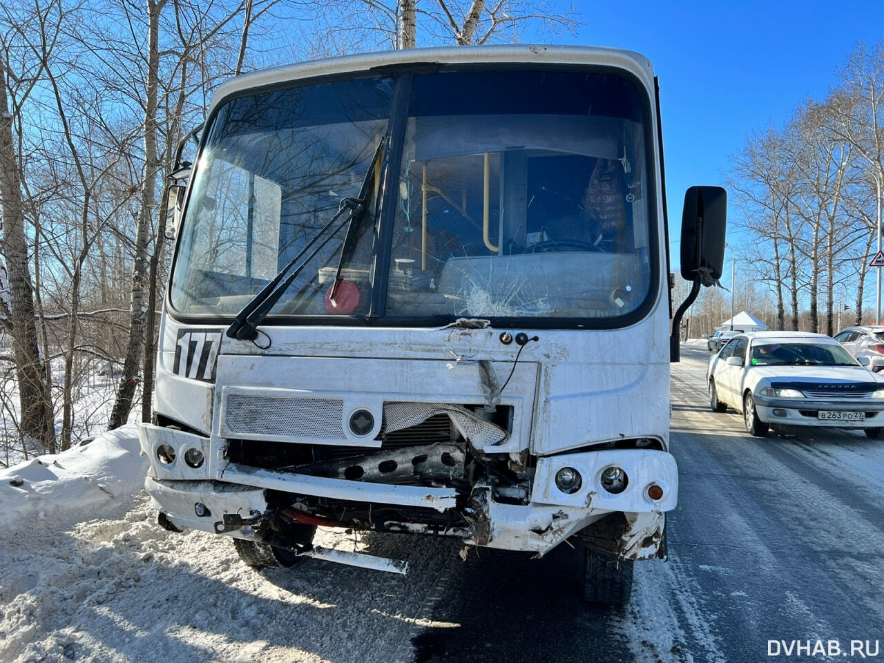 Дерево на Владивостокском шоссе снес автобус № 177 (ФОТО) — Новости  Хабаровска