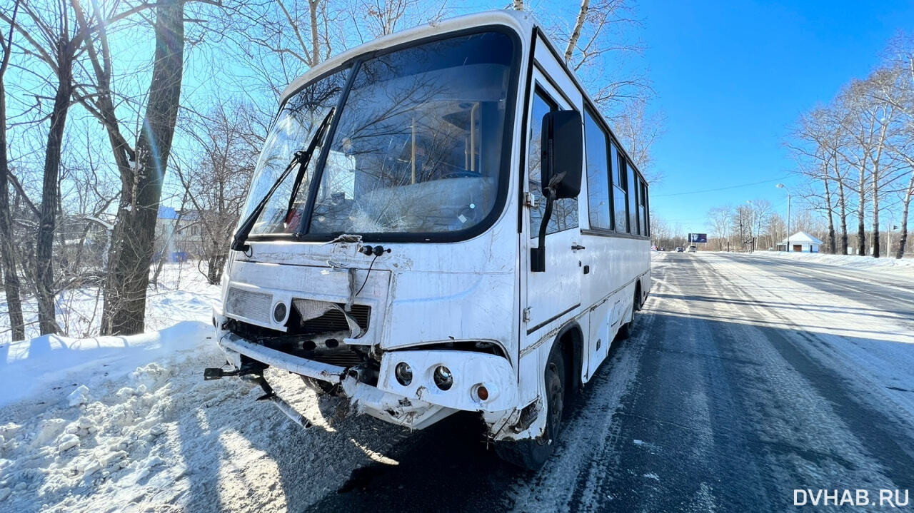 Дерево на Владивостокском шоссе снес автобус № 177 (ФОТО) — Новости  Хабаровска