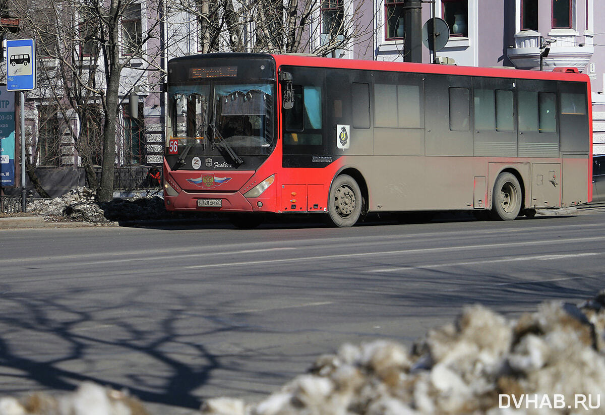 Толстый автобус