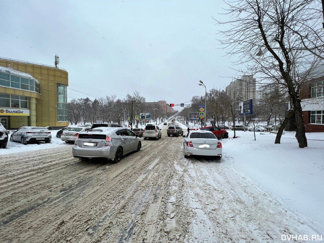 Меньшее из зол: хабаровчанка выкрутила руль в дерево (ФОТО) — Новости  Хабаровска