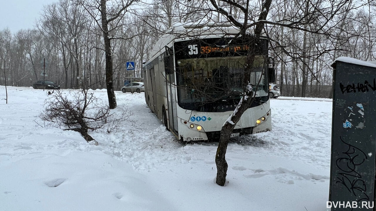 Перебегавшая дорогу девушка отправила в кювет автобус № 35 (ФОТО) — Новости  Хабаровска