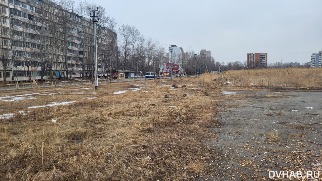 Пустырь и щепки: ради многоэтажек снесли деревья в Южном (ФОТО; ВИДЕО) —  Новости Хабаровска