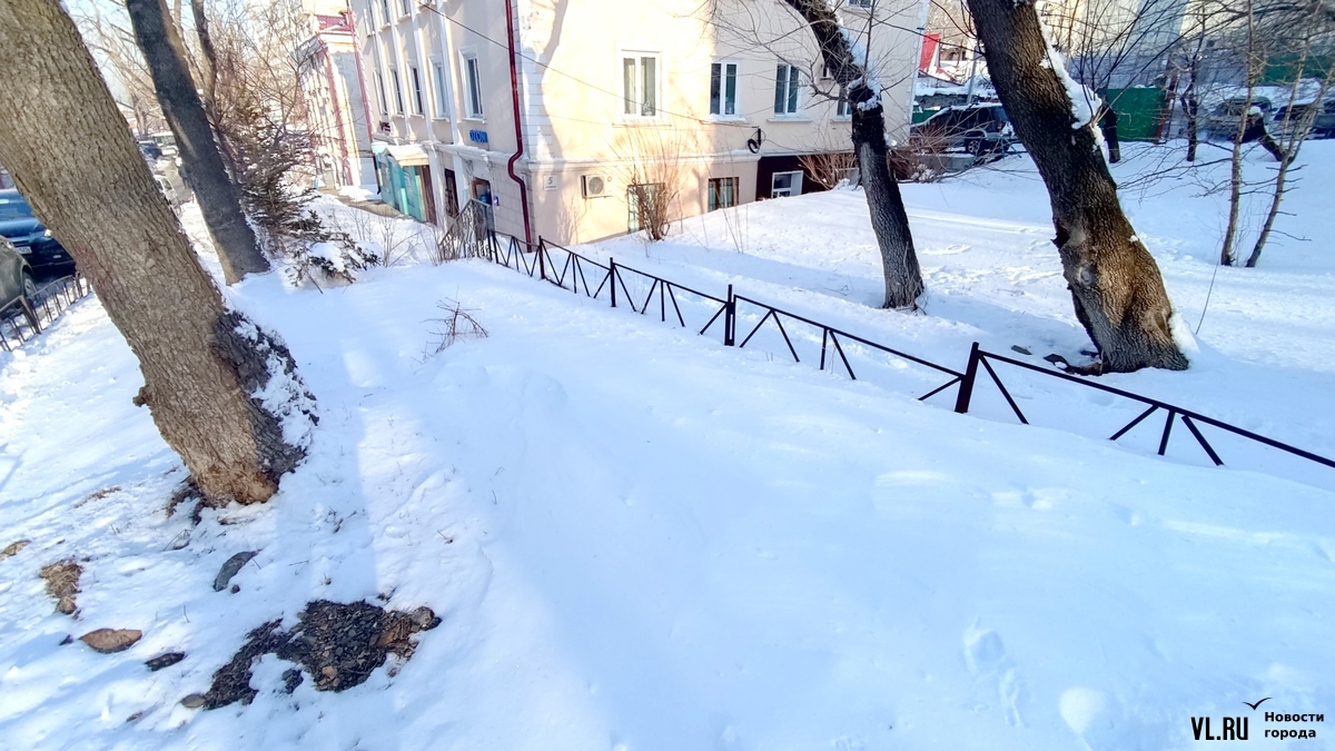 Подходы к школам, больницам и остановкам во Владивостоке на второй день  после снегопада всё ещё не успели расчистить (ПЕРЕКЛИЧКА) – Новости  Владивостока на VL.ru