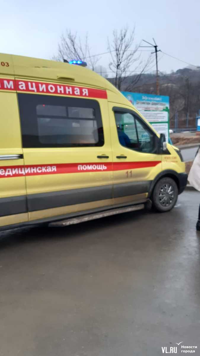 Женщина спасла двух провалившихся под лёд мальчиков в парке Минного городка  – Новости Владивостока на VL.ru