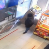 В Артёме арестовали похитителя бокса с деньгами для благотворительности
