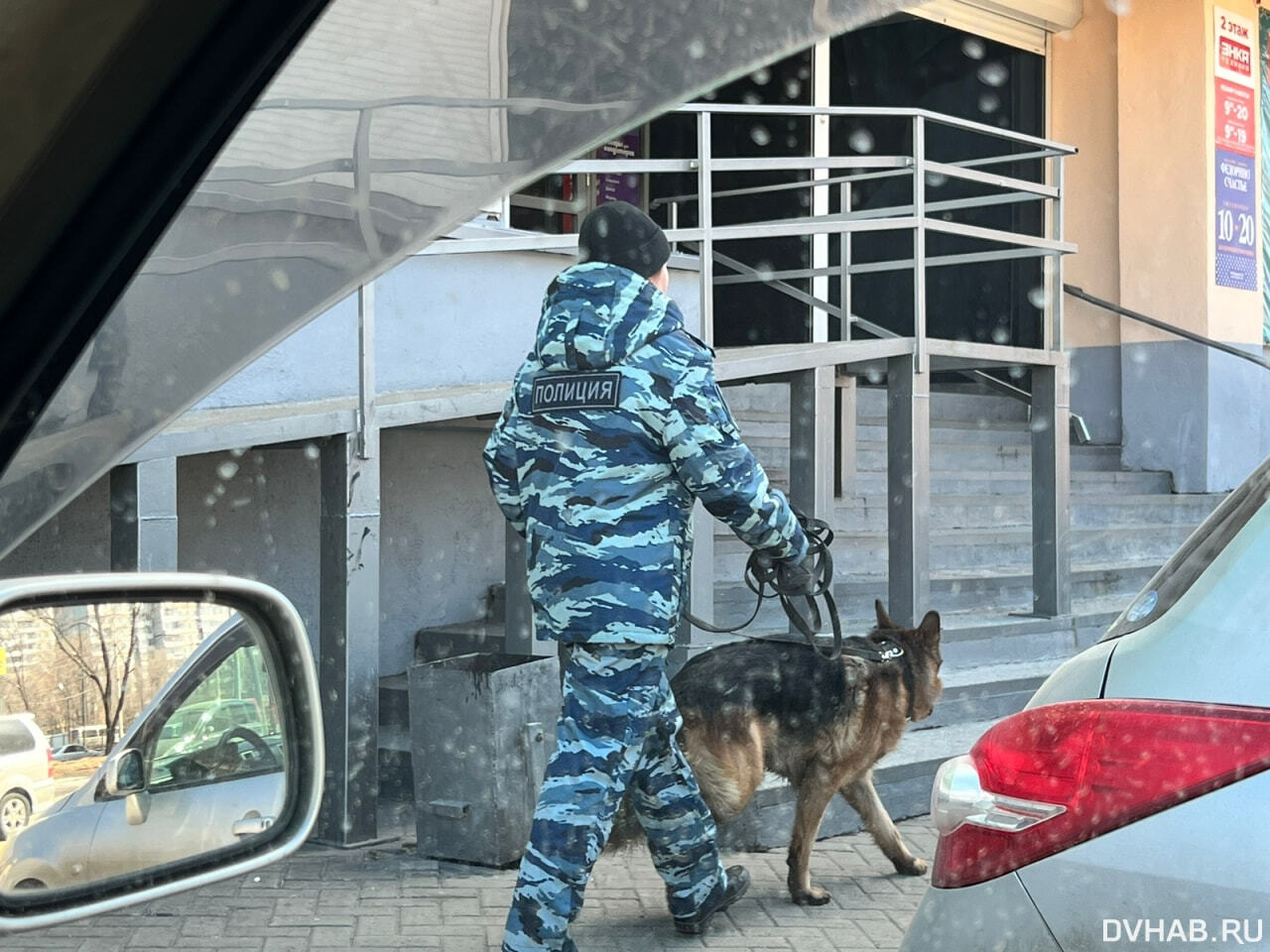 Сейф через окно украли из магазина на Стрельникова (ФОТО) — Новости  Хабаровска