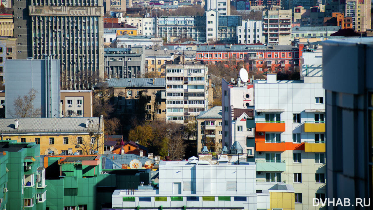 Меньше зелени, больше дорог: городскую среду Хабаровска оценили власти  (ПЕРЕКЛИЧКА) — Новости Хабаровска