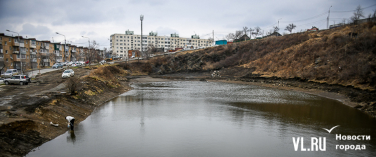 Во Владивостоке началось благоустройство территории у озера на Сафонова (ФОТО) – Новости Владивостока на VL.ru