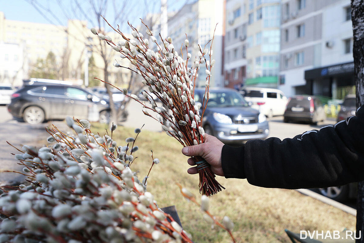 Неделя до Пасхи: хабаровчане отмечают Вербное воскресенье (ФОТО; ВИДЕО) —  Новости Хабаровска