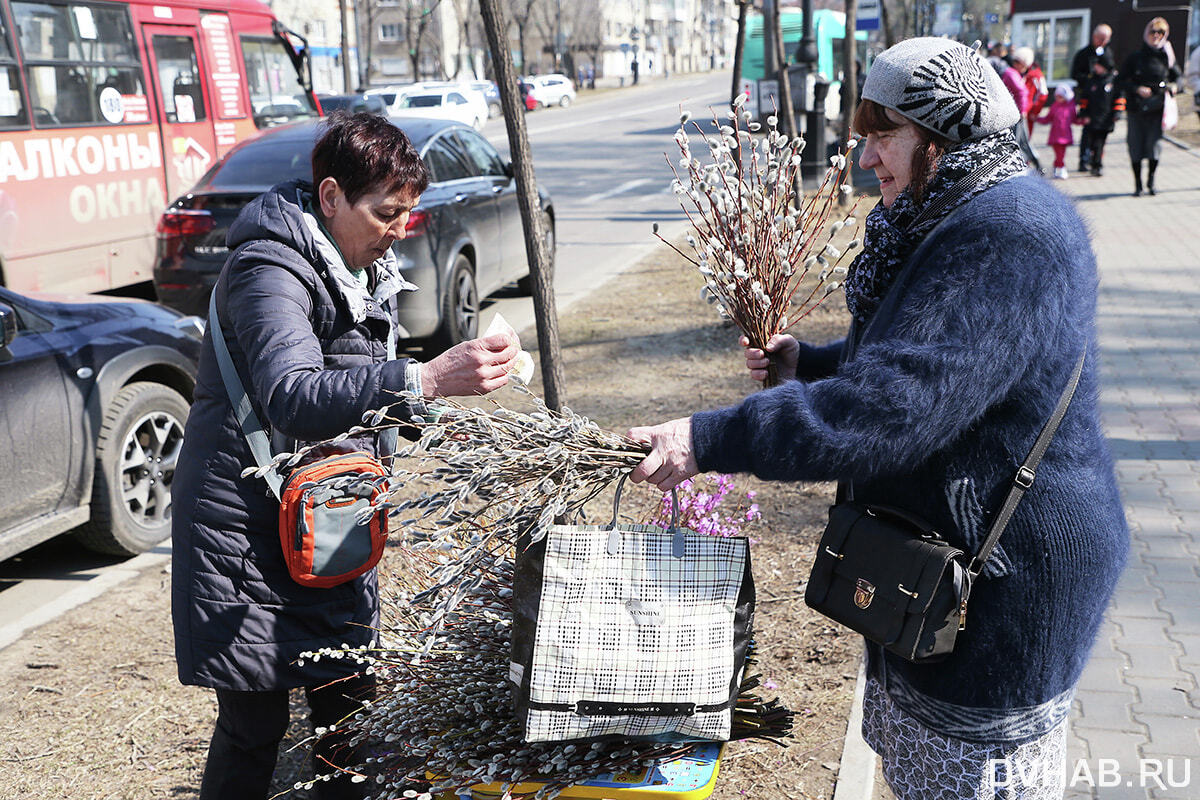 Хаб новости хабаровск