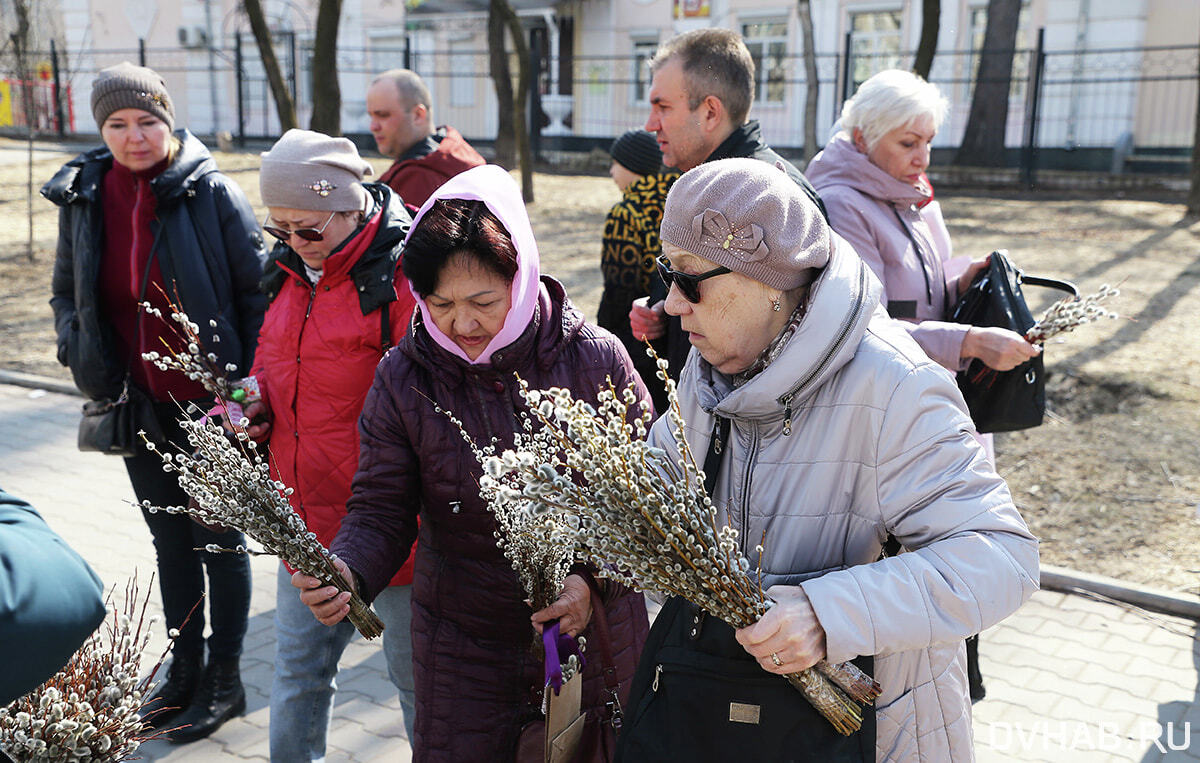 Официальные новости хабаровск