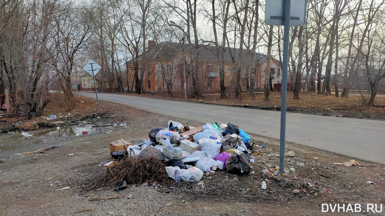 Сделаю доску позора»: комсомольчанка установила видеонаблюдение возле  стихийной свалки (ФОТО; ВИДЕО) — Новости Хабаровска