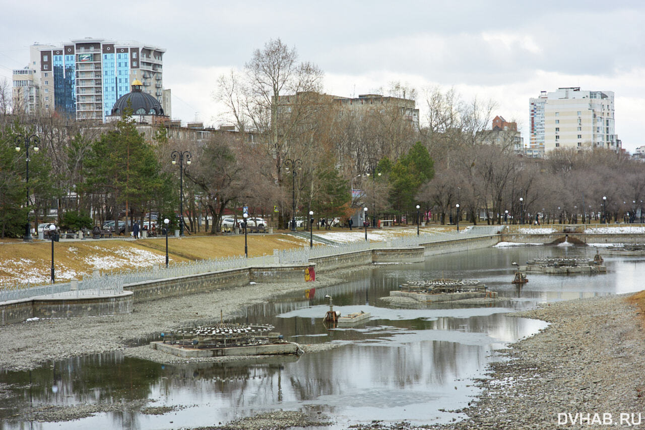 Разруха городских прудов начинает скрываться под водой (ФОТО) — Новости  Хабаровска