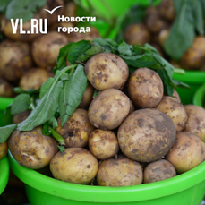 Приморье и картошка: кто выращивает любимый овощ, подойдут ли нам белорусскиесорта и почему нужно быть осторожней в магазинах – Новости Владивостока наVL.ru