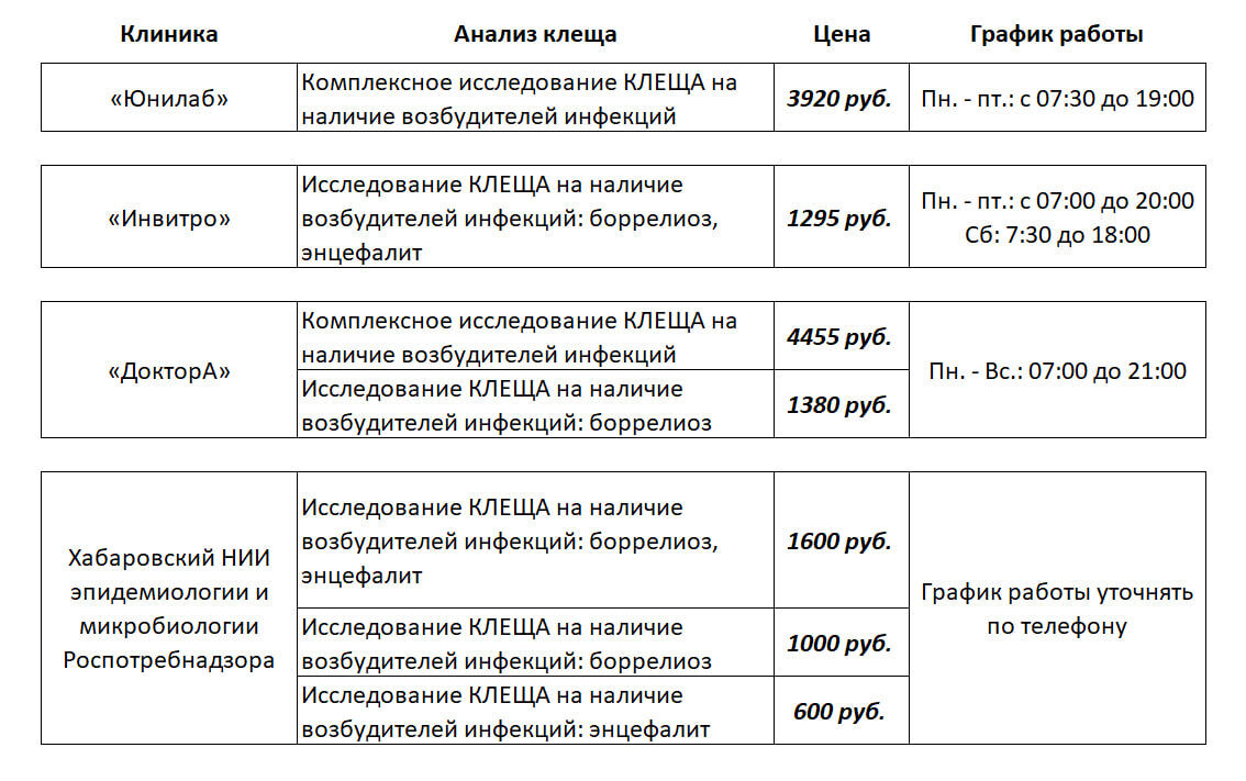 Что делать при укусе клеща (ПАМЯТКА) — Новости Хабаровска