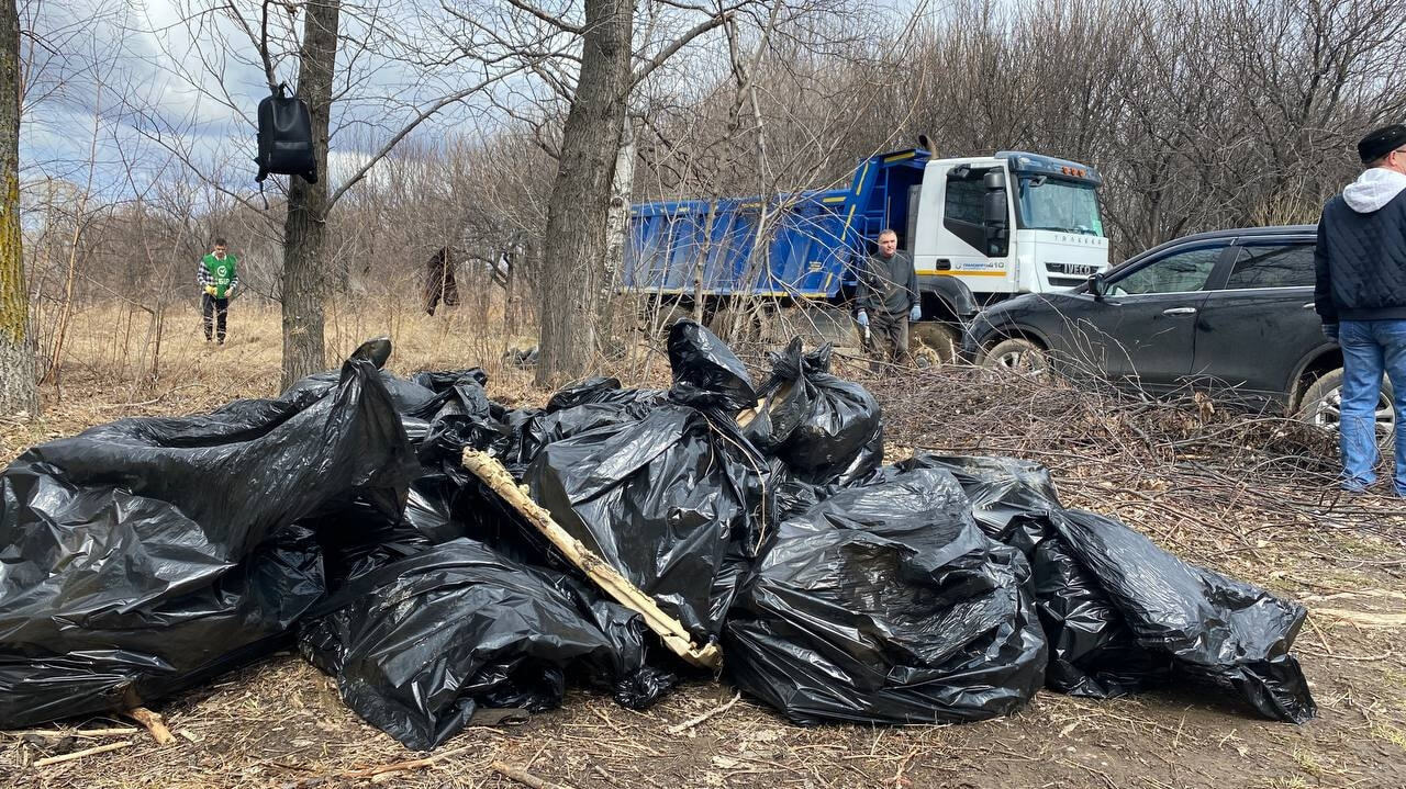 Хабаровчане пожурили чиновников за внимание к питомнику Лукашова раз в год  (ФОТО) — Новости Хабаровска