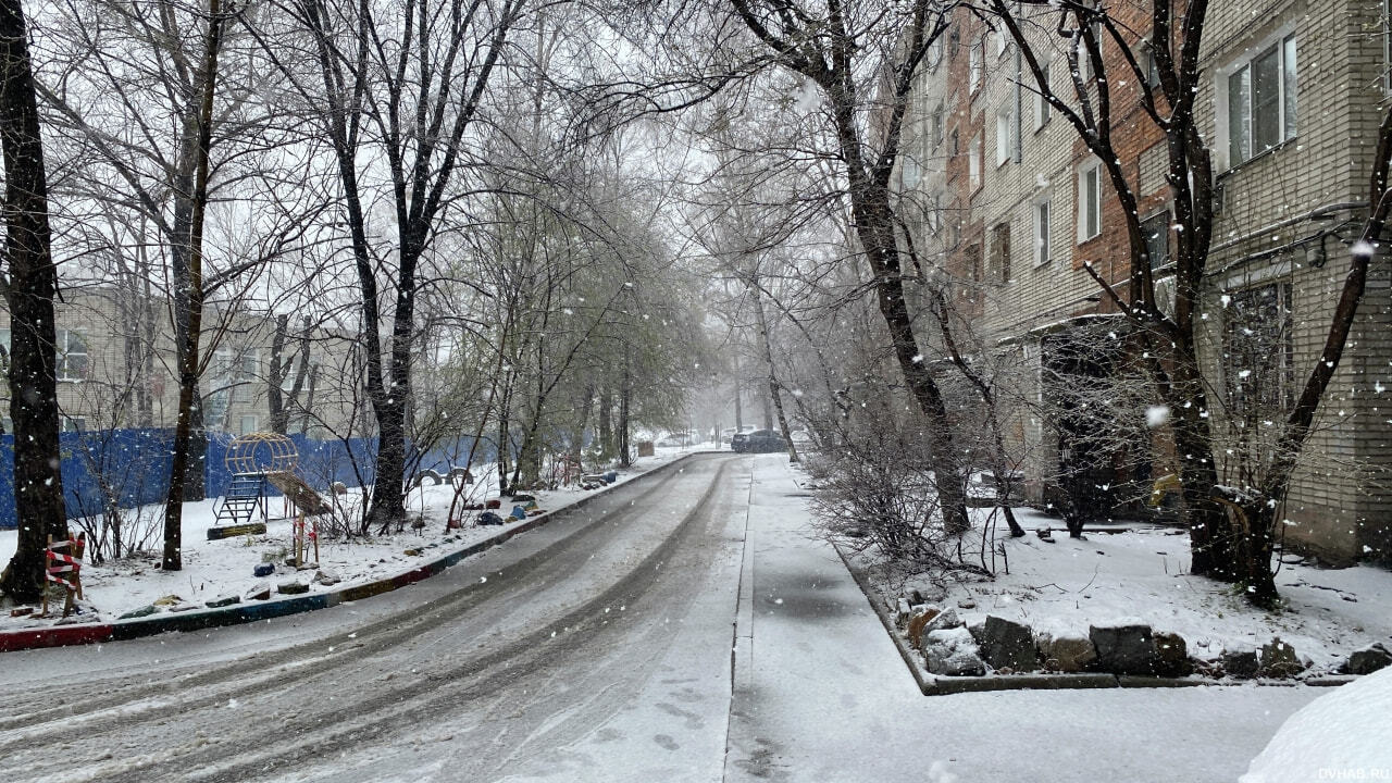 Последний день апреля принес в Хабаровск снег (ПЕРЕКЛИЧКА) — Новости  Хабаровска