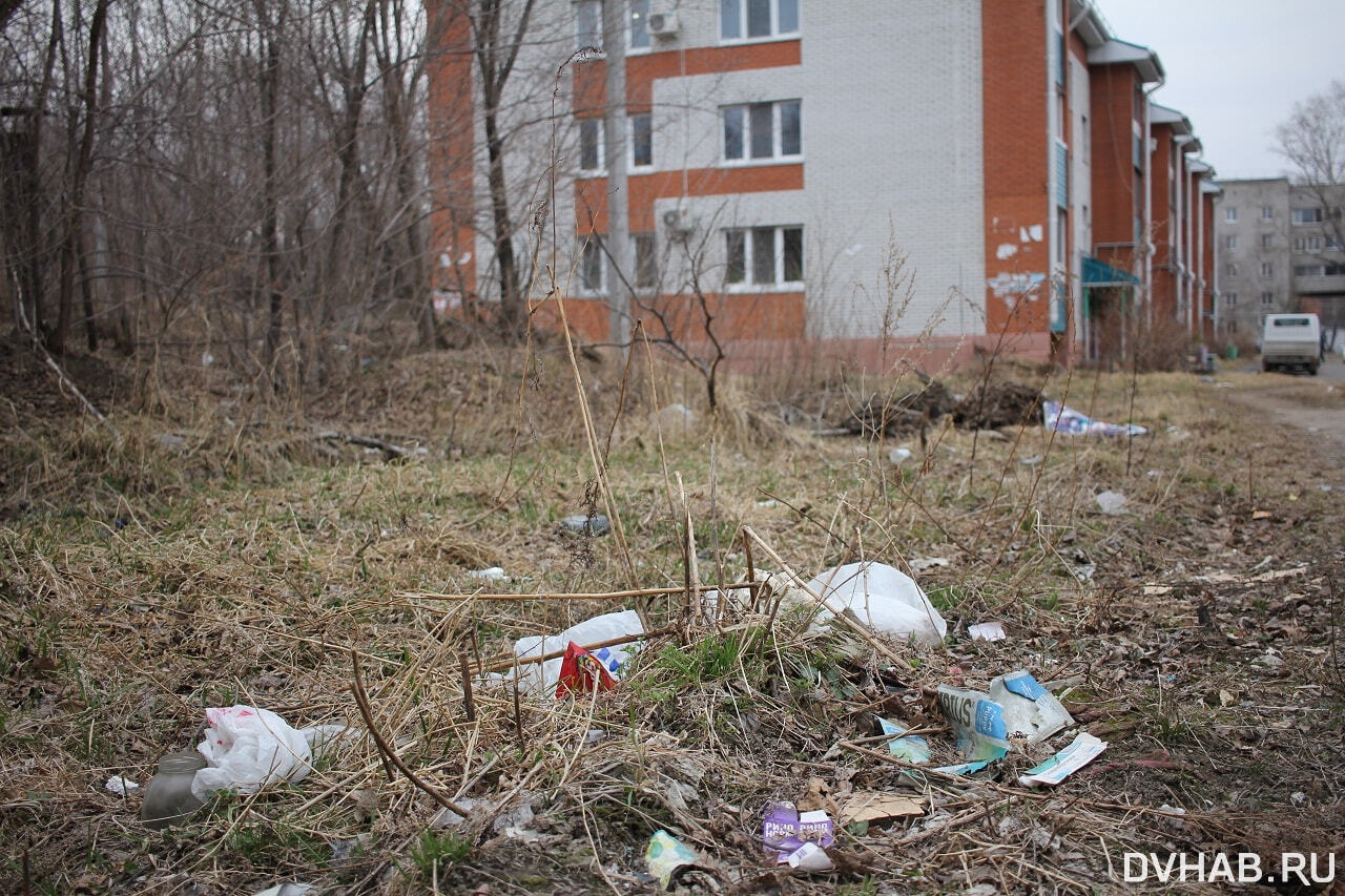 Город будет чистым: комсомольчане объединились для уборки улиц (ФОТО) —  Новости Хабаровска