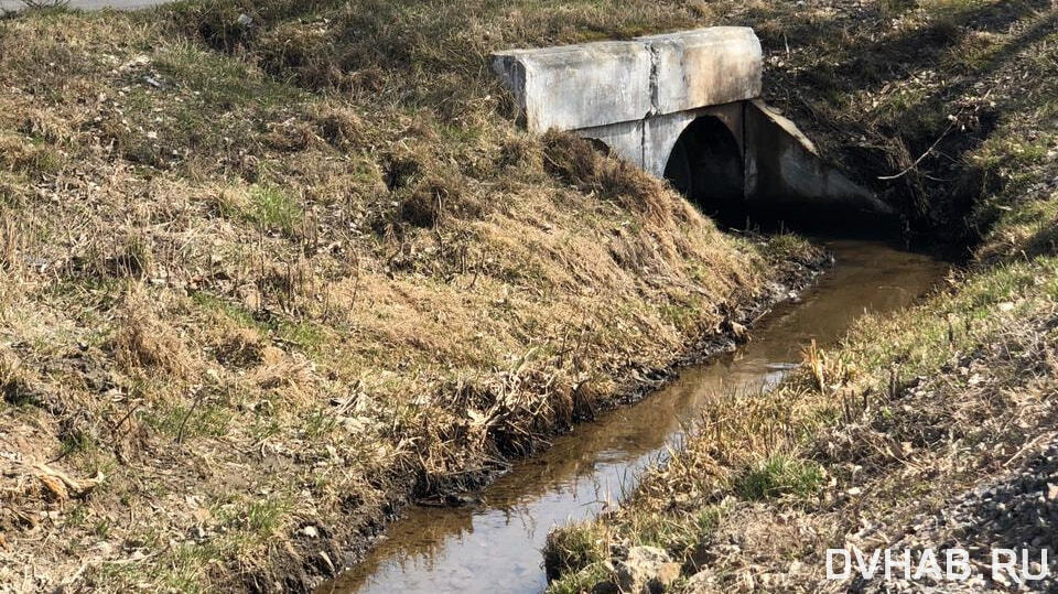 Светящаяся вода у берегов Тасмании (Австралия 14.03.2017)