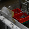 Отходов здесь практически нет – любая часть рыбы приносит прибыль компании — newsvl.ru