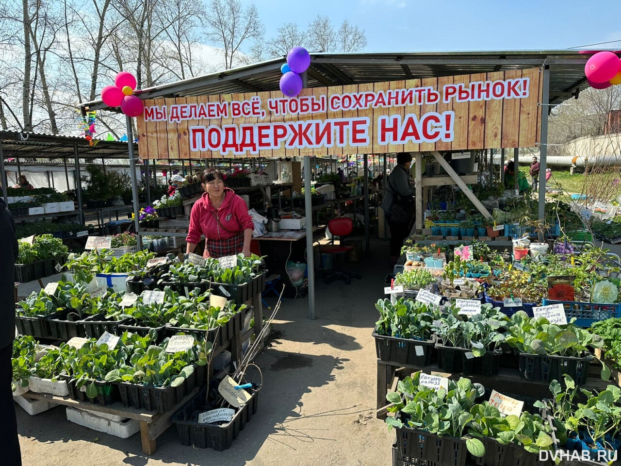 садовод рынок в москве. схема рынка садовод в москве. садовод рынок в москве. садовод, москва, мкад, 14-й километр. садовод открыта.