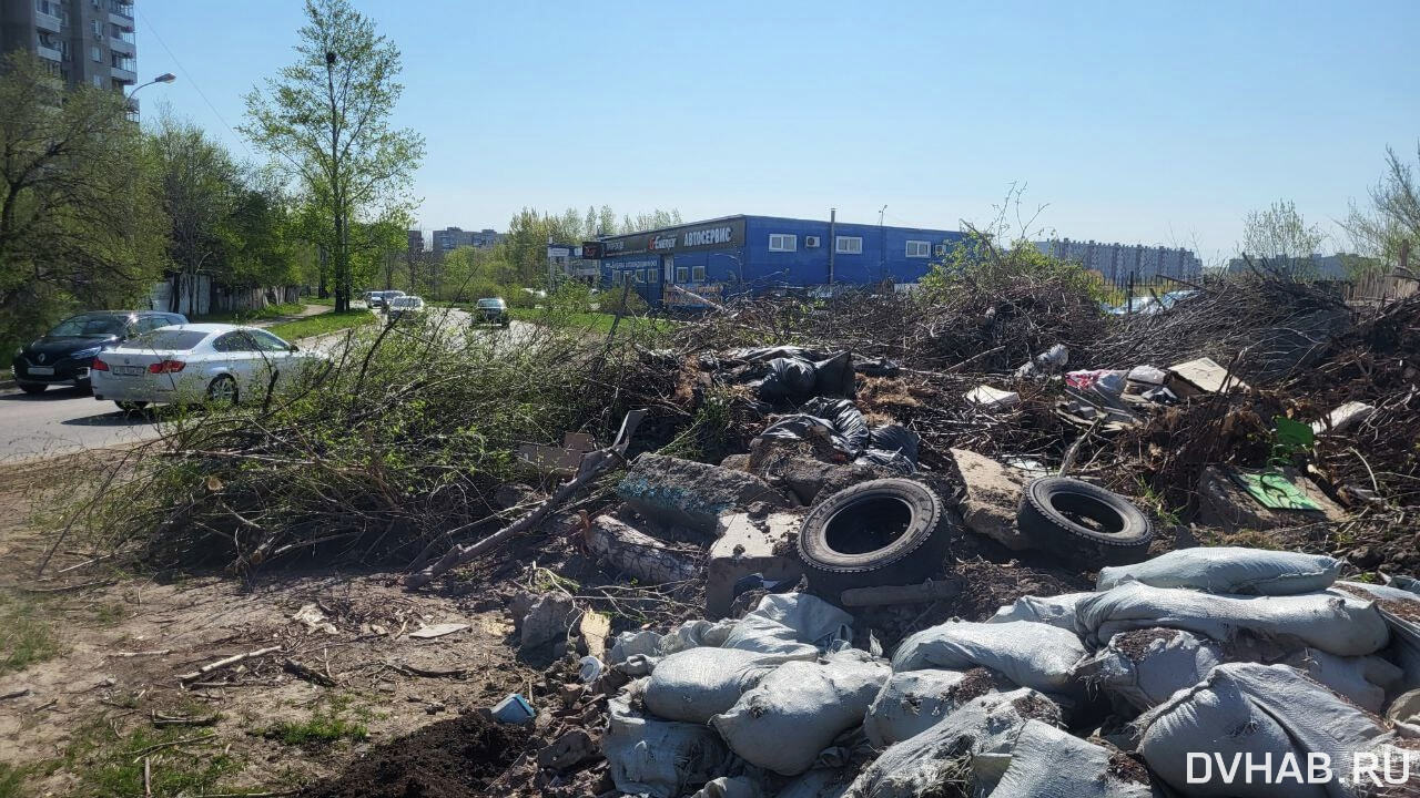 В мусоре утонула дорога на Прогрессивной (ФОТО) — Новости Хабаровска