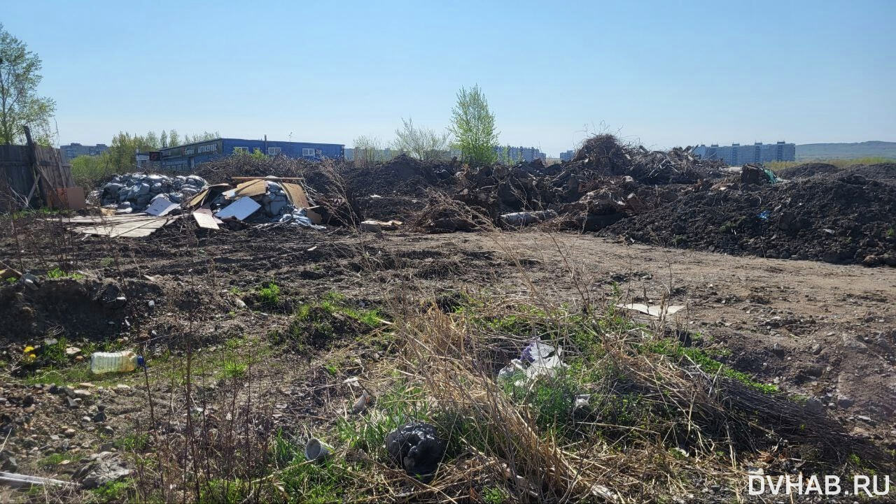 В мусоре утонула дорога на Прогрессивной (ФОТО) — Новости Хабаровска