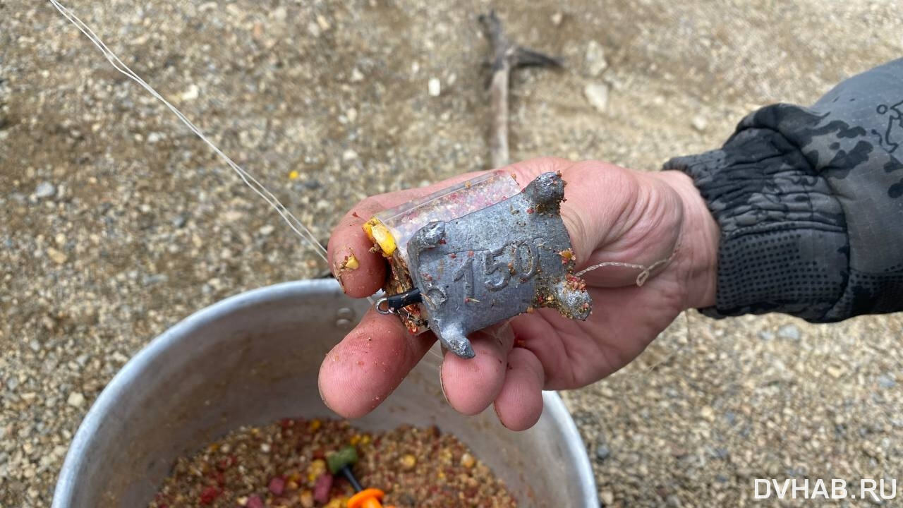 Диалоги о рыбалке: как черного сазана ловят в водах Амурской протоки (ФОТО)  — Новости Хабаровска