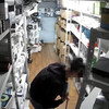 В Уссурийске сотрудница магазина похитила 25 сотовых телефонов, чтобы расплатиться по кредитам