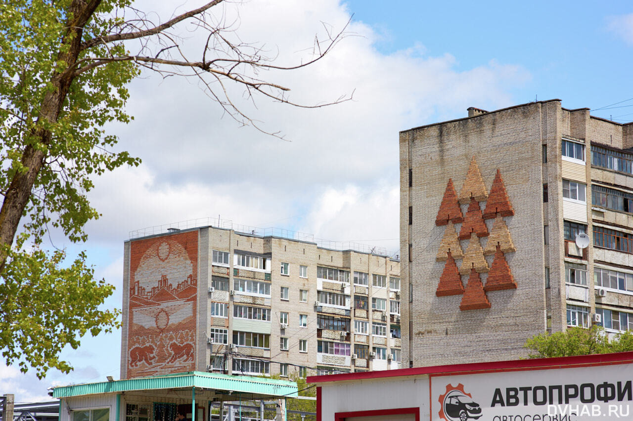 DVHAB на районе: База КАФ - наш зеленый «морской» уголок (ФОТО) — Новости  Хабаровска